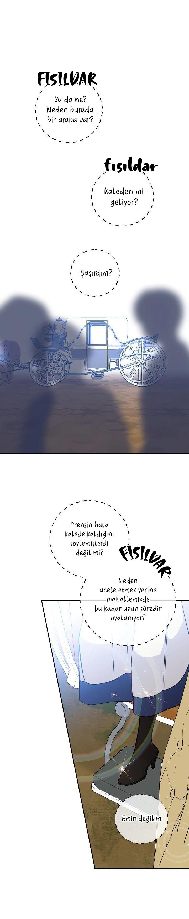 3-cm2xdfr0s0001tt82570od8ls