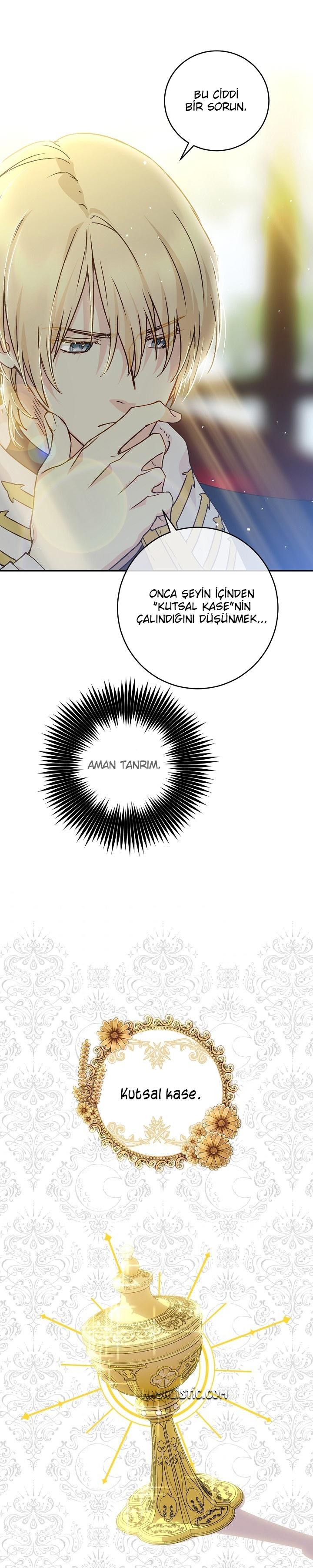 13-cm2xdfr0s0001tt82570od8ls