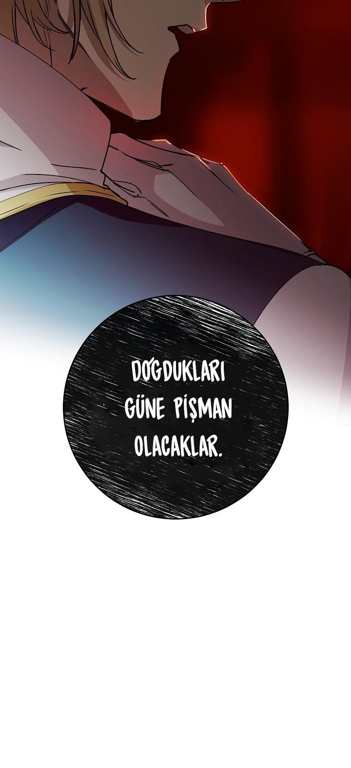53-cm2xdfr0s0001tt82570od8ls