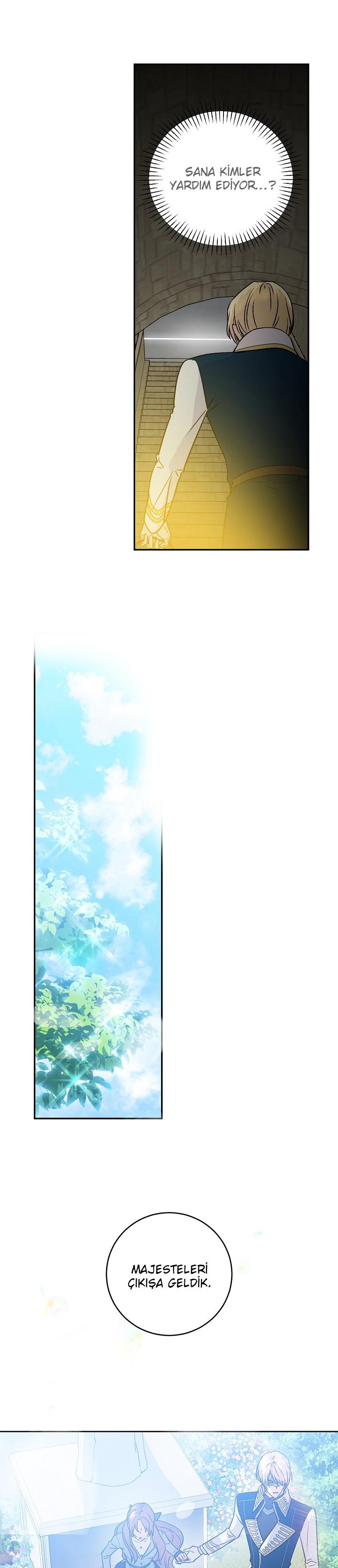 27-cm2xdfr0s0001tt82570od8ls