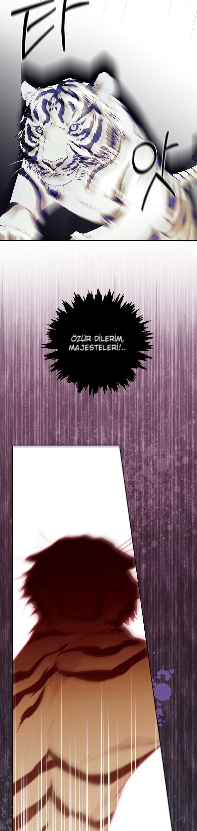 22-cm2xdfr0s0001tt82570od8ls