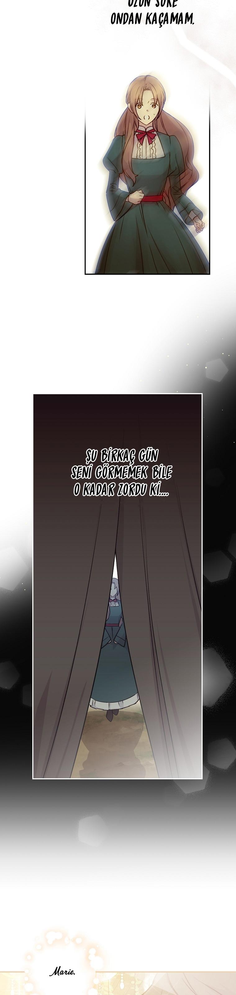 4-cm2xdfr0s0001tt82570od8ls