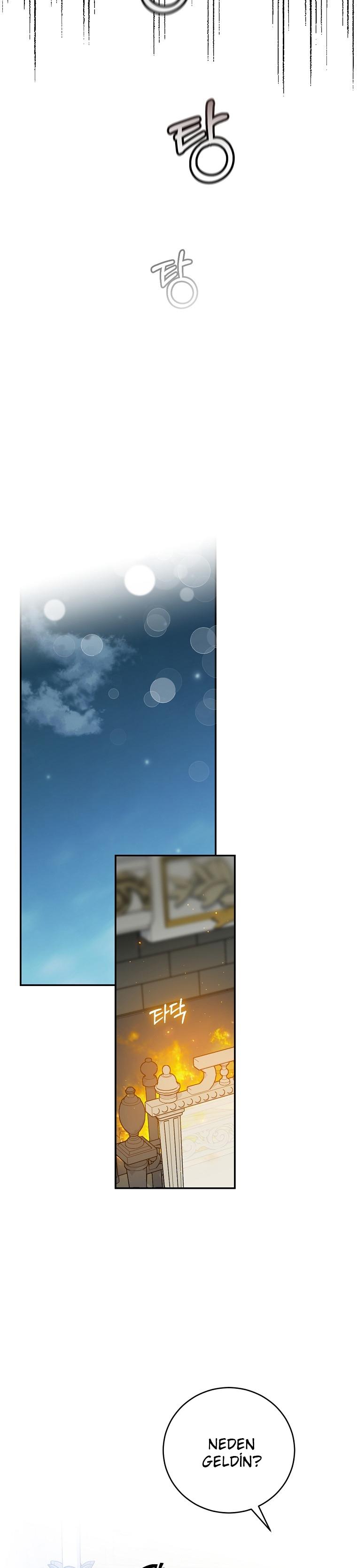 17-cm2xdfr0s0001tt82570od8ls