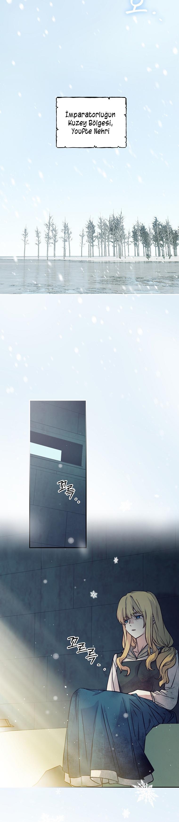 2-cm2xdfr0s0001tt82570od8ls