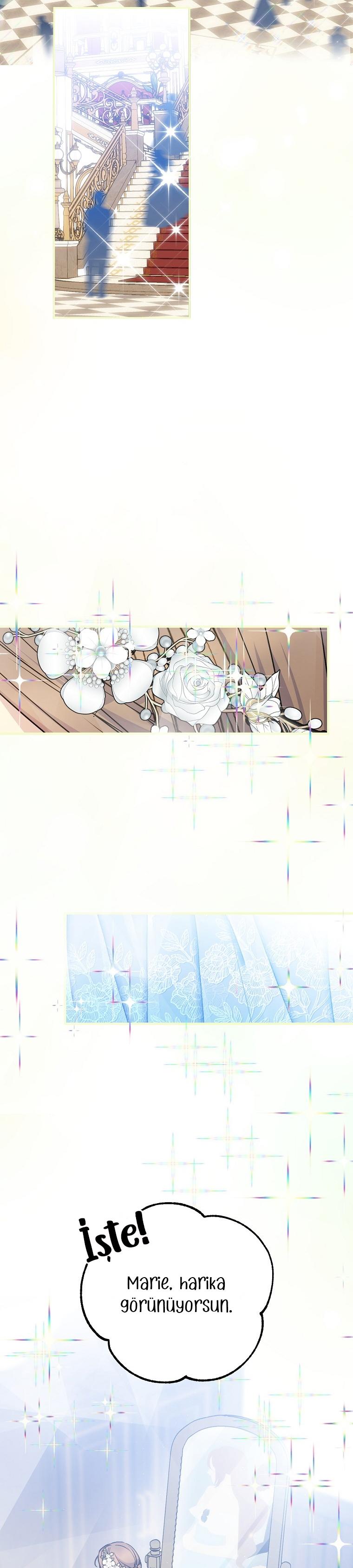 12-cm2xdfr0s0001tt82570od8ls