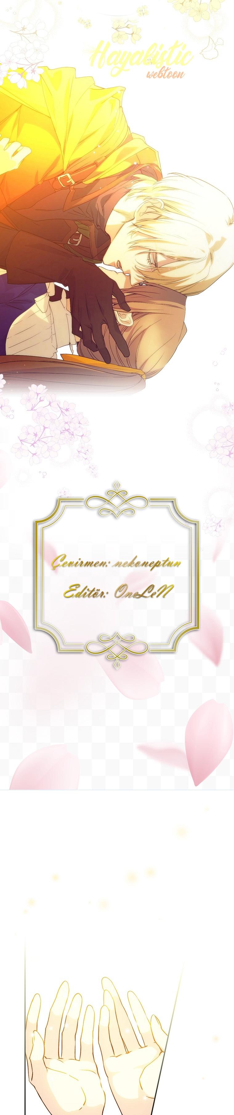 1-cm2xdfr0s0001tt82570od8ls