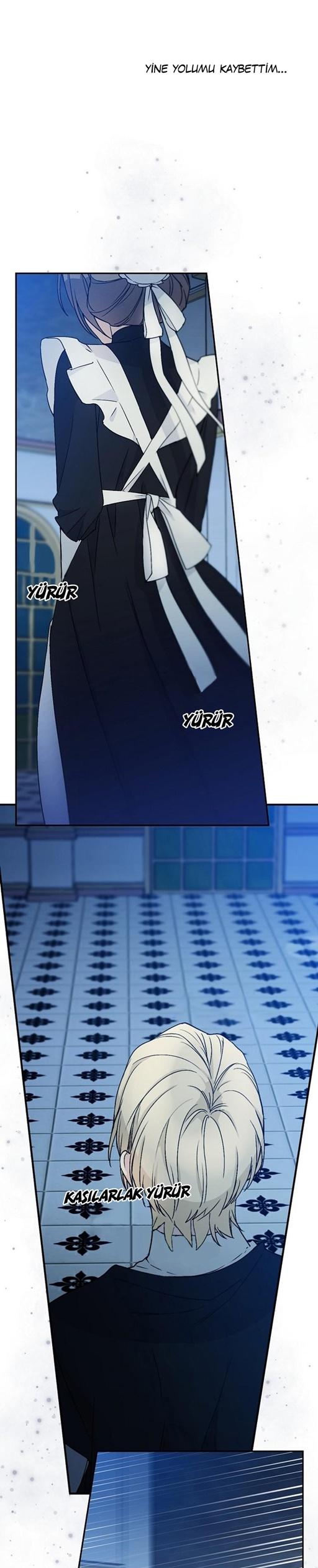 11-cm2xdfr0s0001tt82570od8ls
