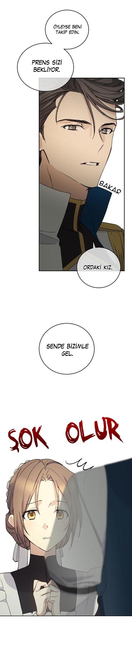 23-cm2xdfr0s0001tt82570od8ls