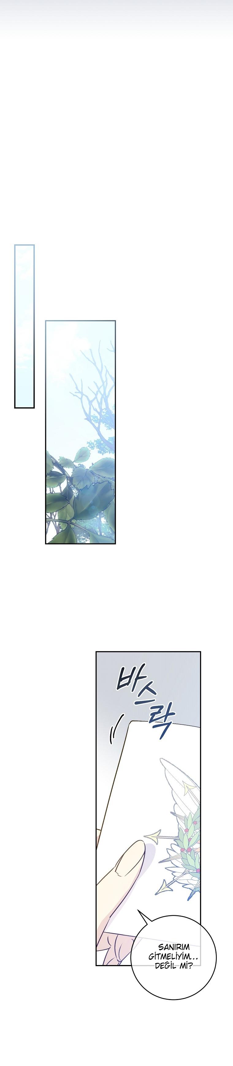 18-cm2xdfr0s0001tt82570od8ls