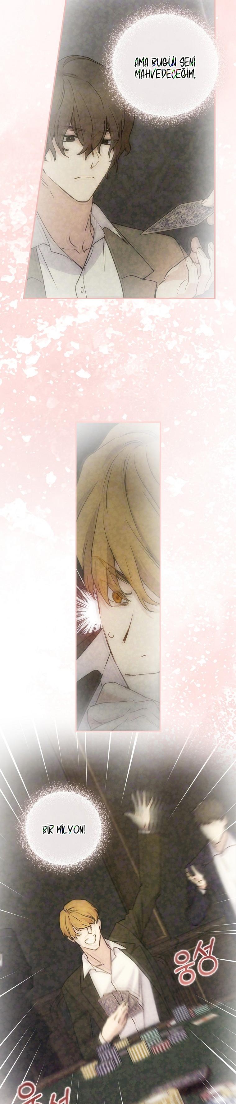 4-cm2xdfr0s0001tt82570od8ls
