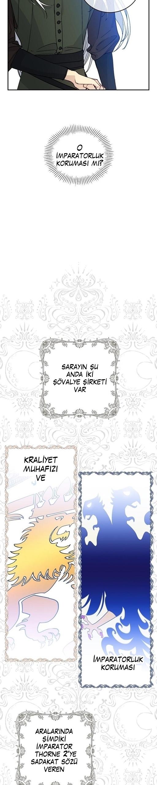 11-cm2xdfr0s0001tt82570od8ls