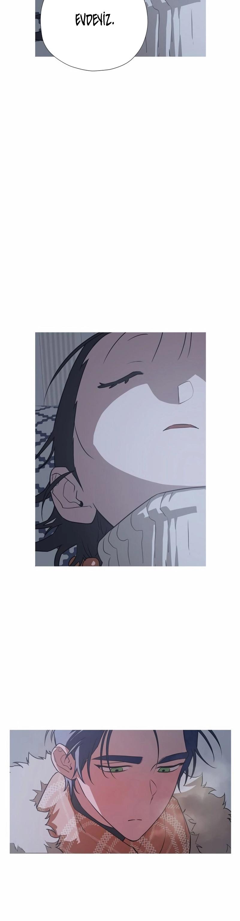 6-cmc1vvo430025phxcd4xhnki2