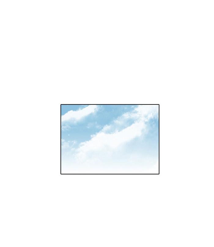 1-cm2xdfr0s0001tt82570od8ls