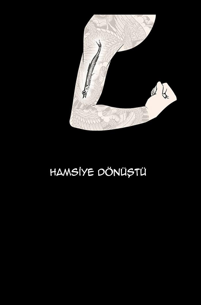 24-cm2xdfr0s0001tt82570od8ls