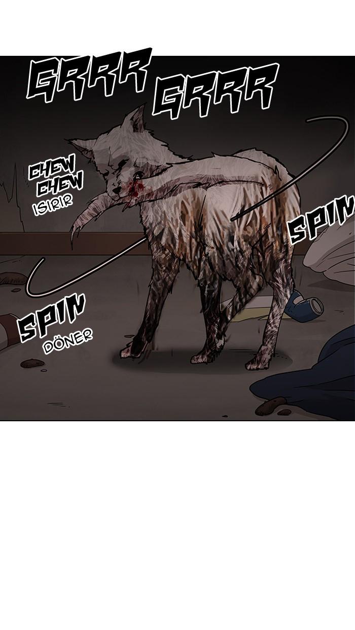 33-cm2xdfr0s0001tt82570od8ls