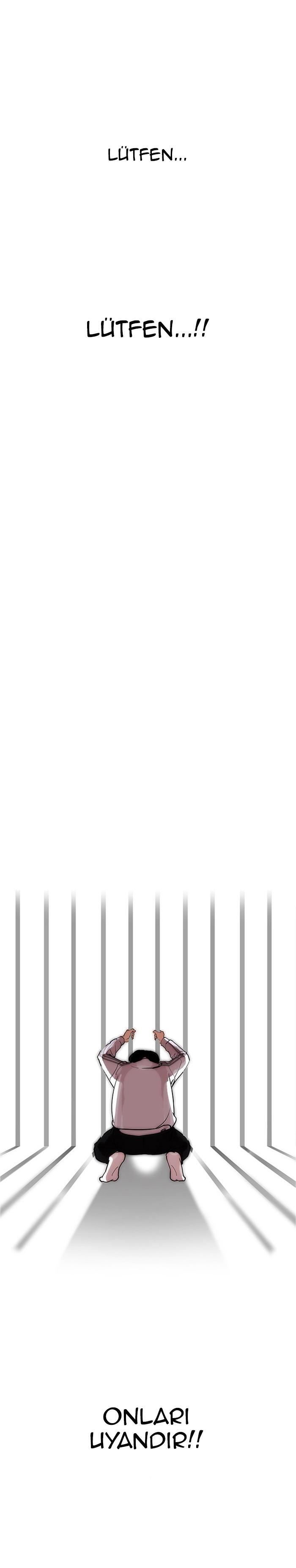 24-cm2xdfr0s0001tt82570od8ls