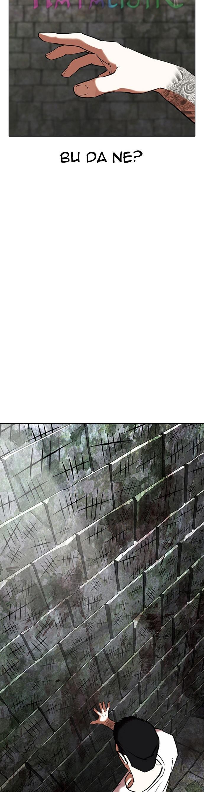 18-cm2xdfr0s0001tt82570od8ls