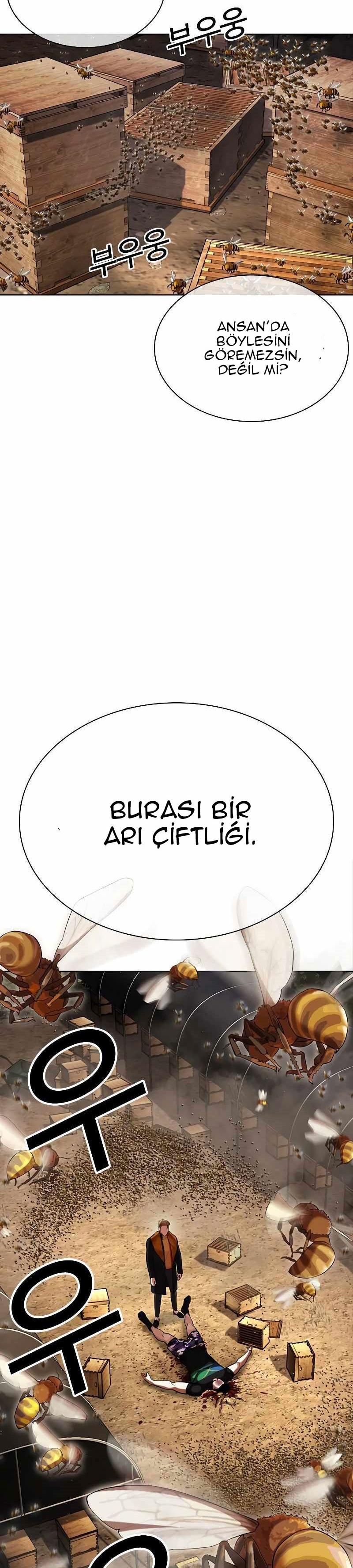 11-cm2xdfr0s0001tt82570od8ls