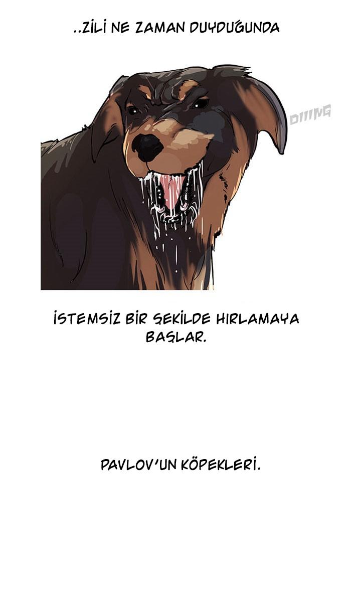 2-cm2xdfr0s0001tt82570od8ls