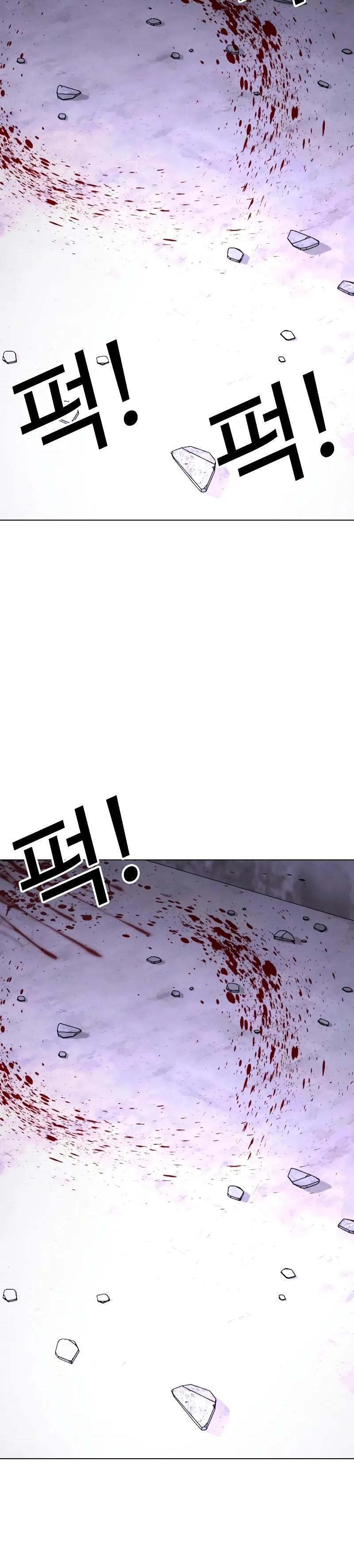 46-cm2xdfr0s0001tt82570od8ls