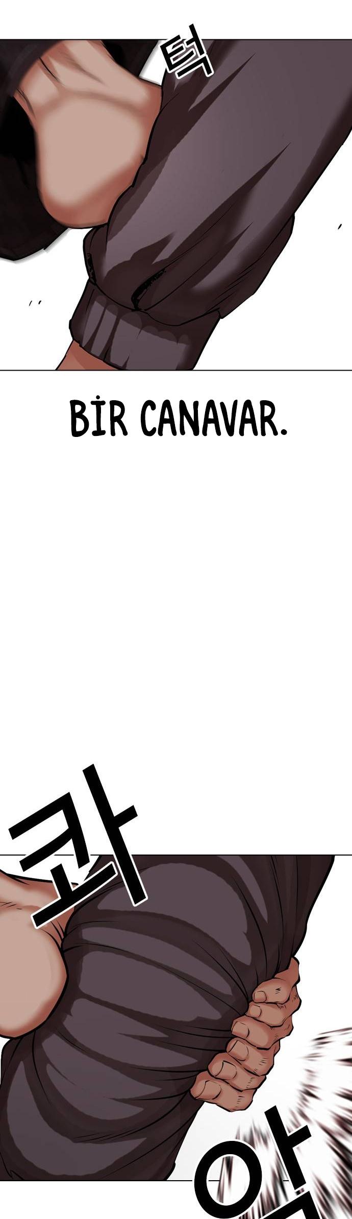 11-cm2xdfr0s0001tt82570od8ls
