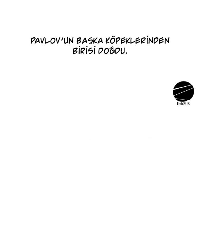 81-cm2xdfr0s0001tt82570od8ls