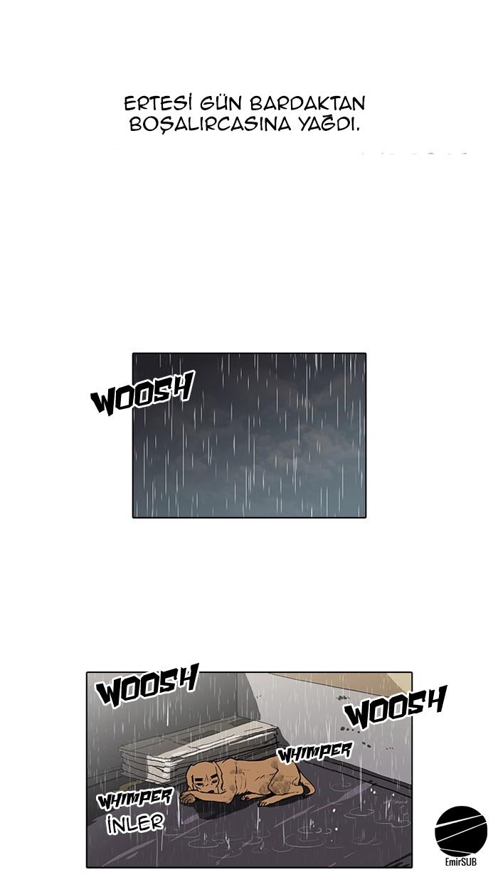 50-cm2xdfr0s0001tt82570od8ls