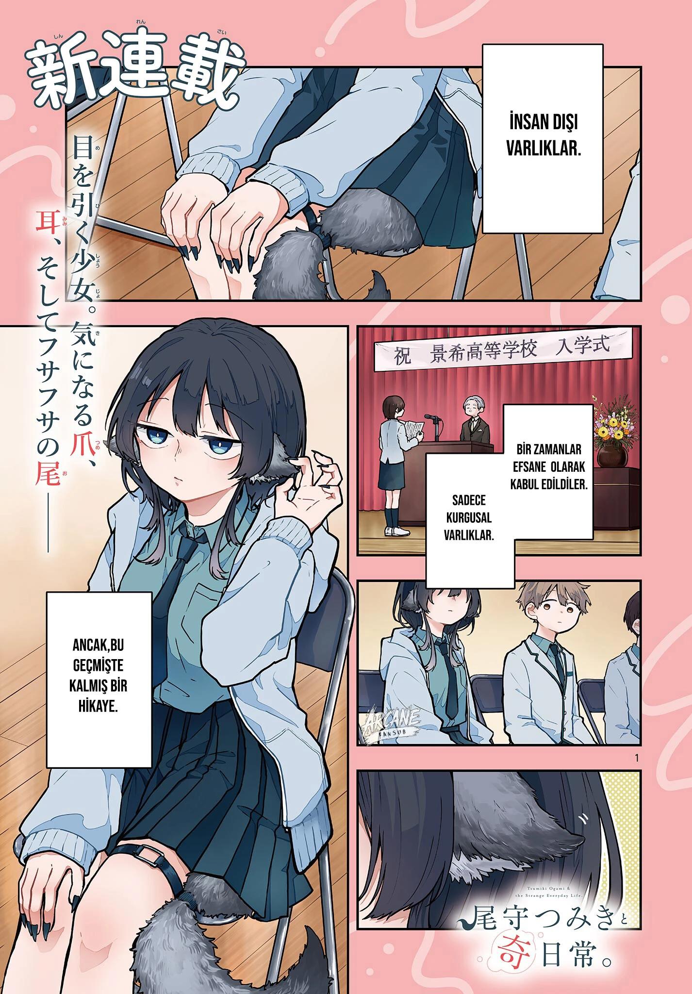 2-cmc1vvo430025phxcd4xhnki2