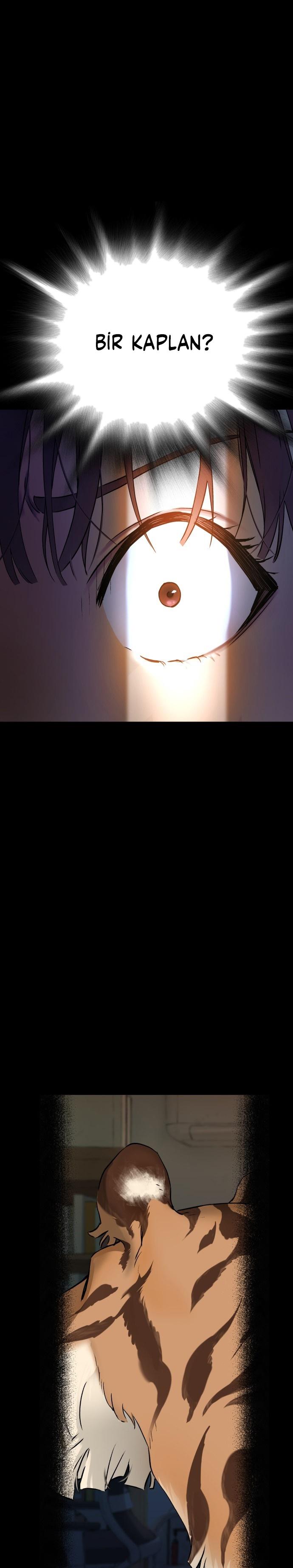2-cmc1vvo430025phxcd4xhnki2