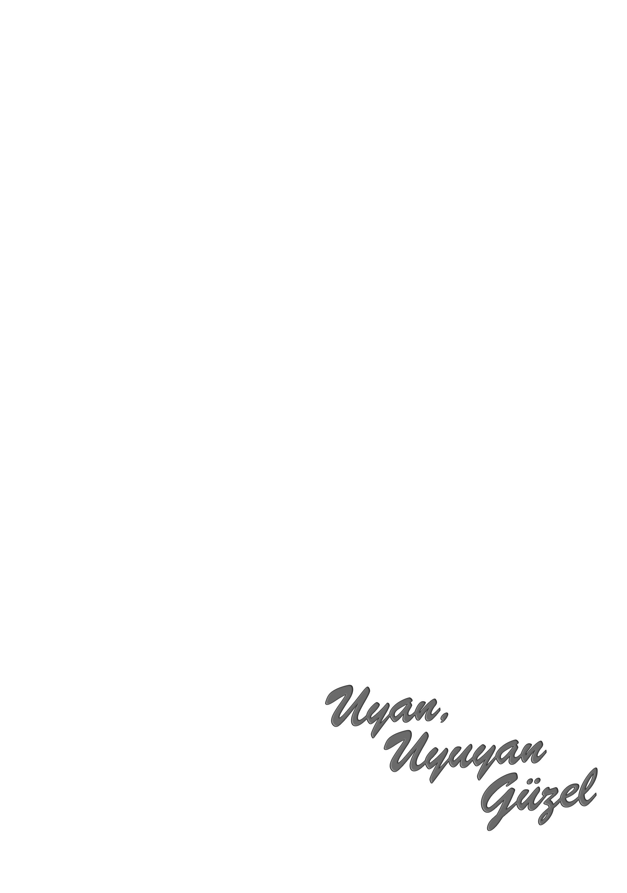 3-cm2yqj4xt0000p2ih0ibw6n7a