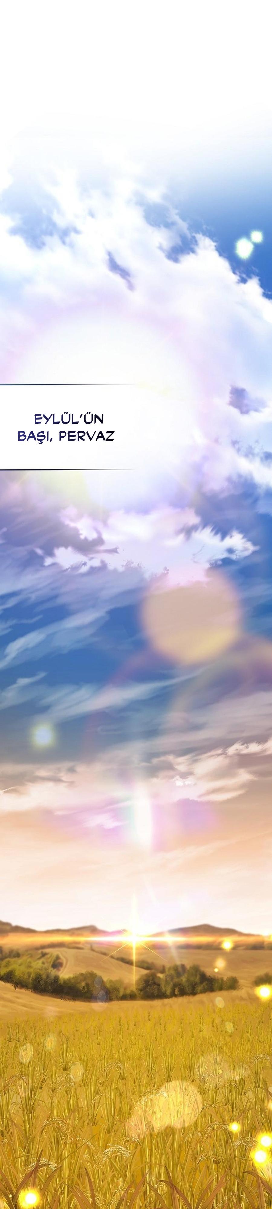 36-cm2xdfr0s0001tt82570od8ls