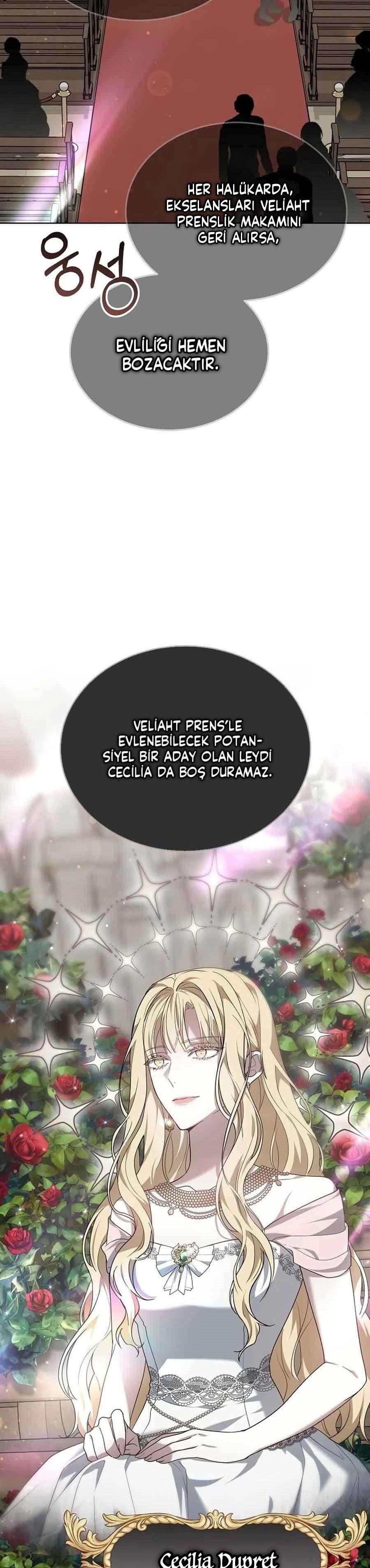 17-cm2xdfr0s0001tt82570od8ls