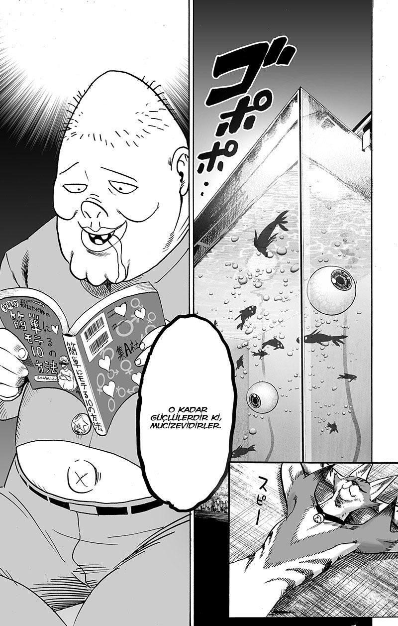 68-cm2i3brbw0000vekkacvb0m23
