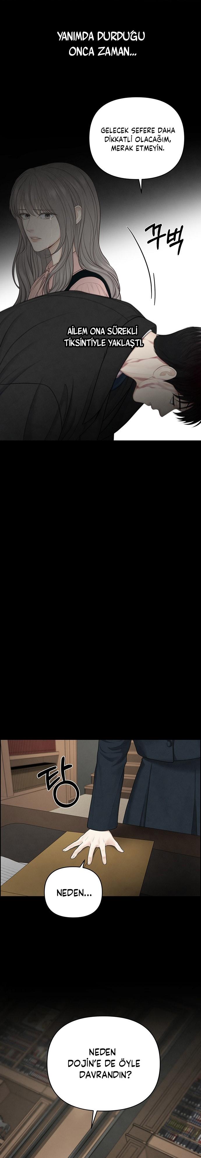 20-cm2xdfr0s0001tt82570od8ls