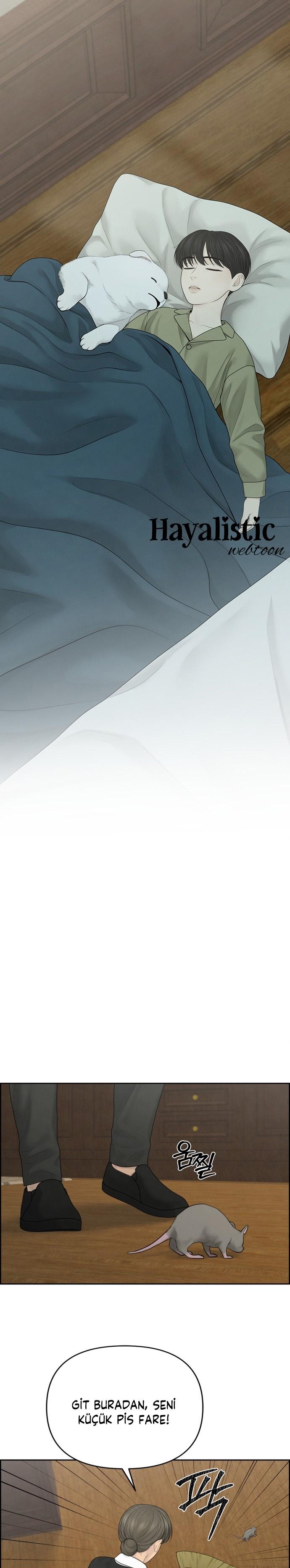 21-cm2xdfr0s0001tt82570od8ls