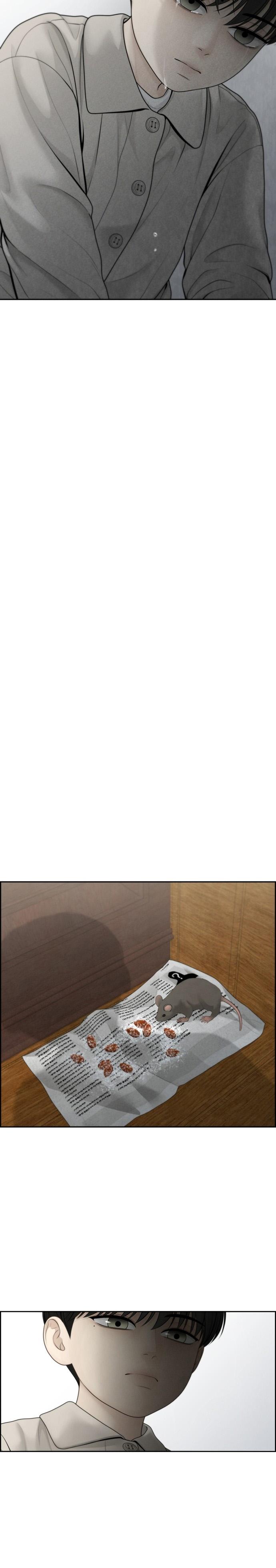 22-cm2xdfr0s0001tt82570od8ls