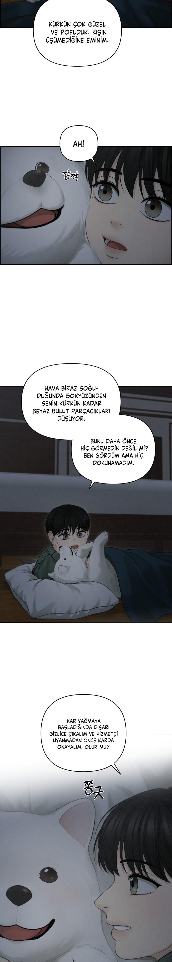 5-cm2xdfr0s0001tt82570od8ls