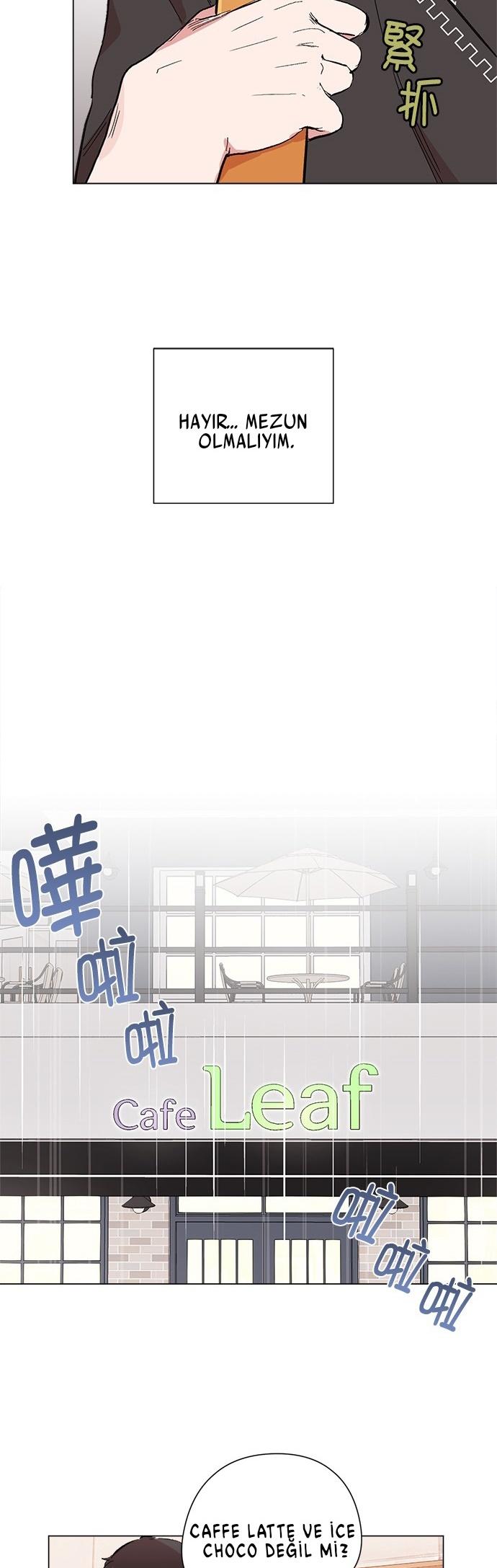 10-cm2xdfr0s0001tt82570od8ls