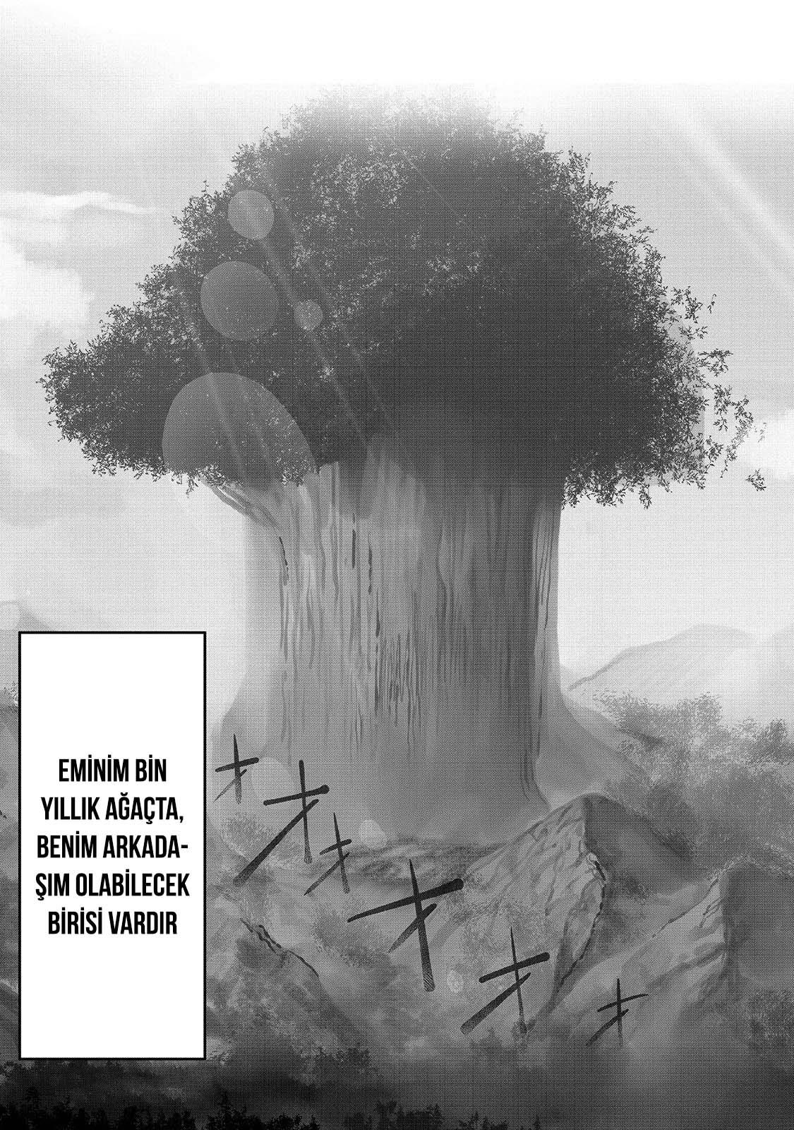 24-cm2s4wpvn00007c0k6q2ggnva