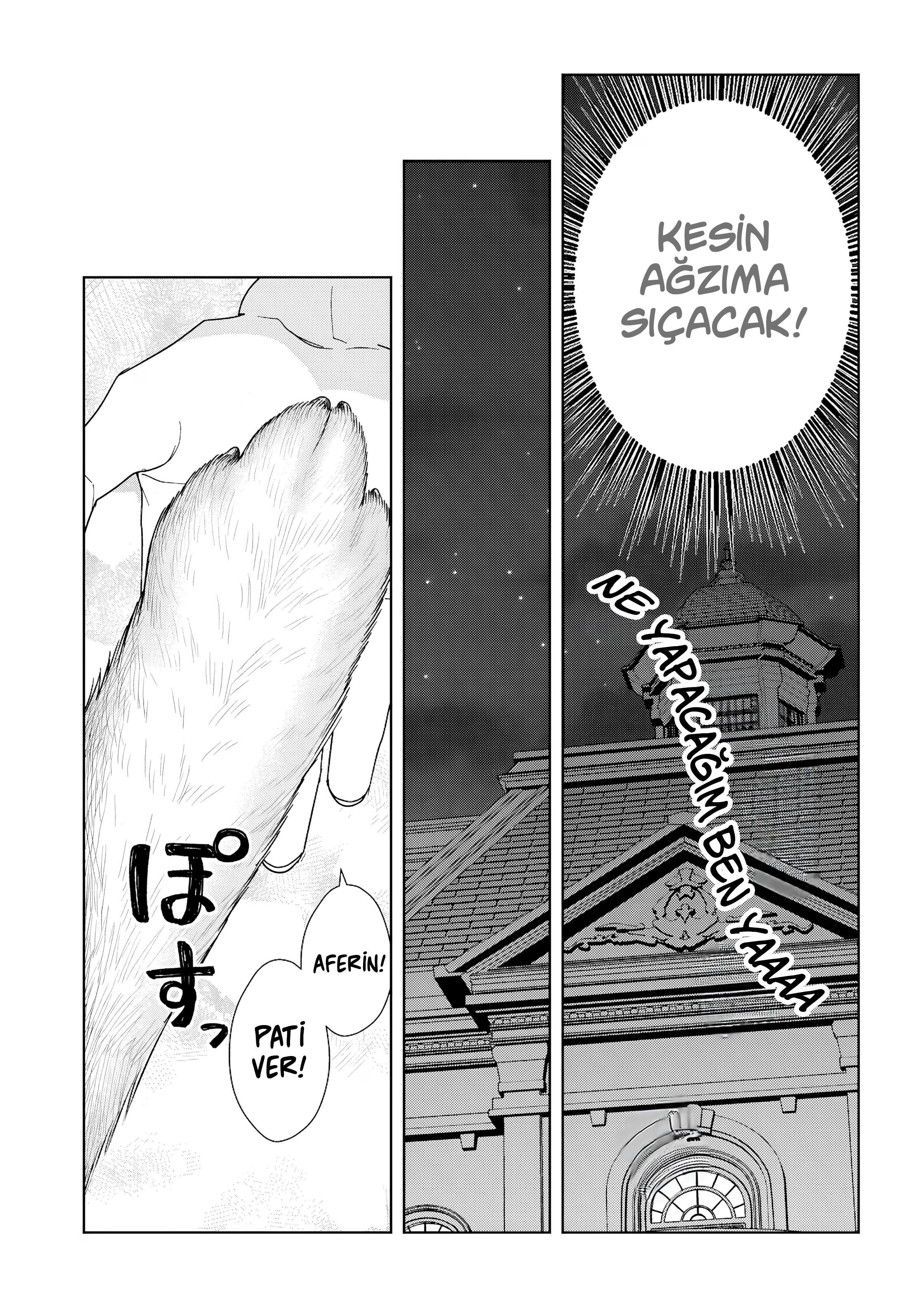 13-cm2rk5cgq0000q6obnukp4wev