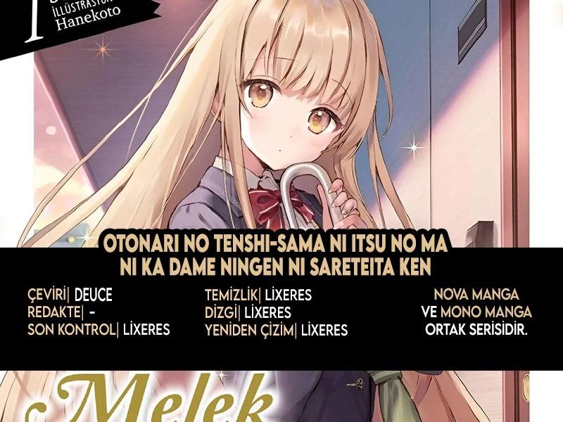 1-cm5ya3xt20000eovjogi0rsko