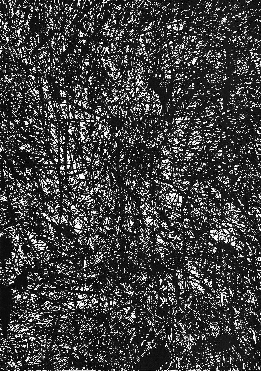 6-cm2s4wpvn00007c0k6q2ggnva