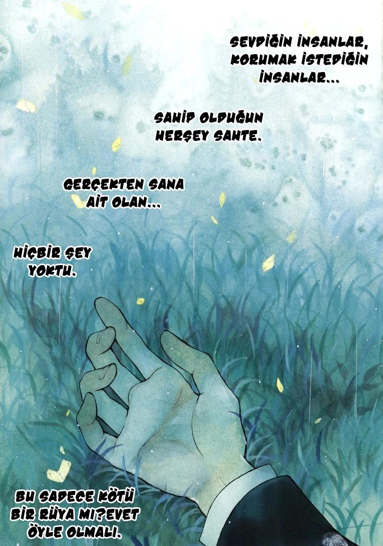 3-cm5ya3xt20000eovjogi0rsko