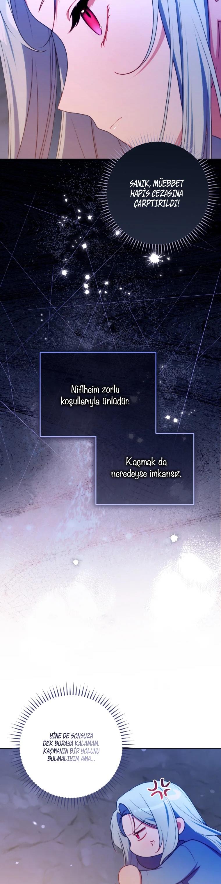 20-cm2xdfr0s0001tt82570od8ls