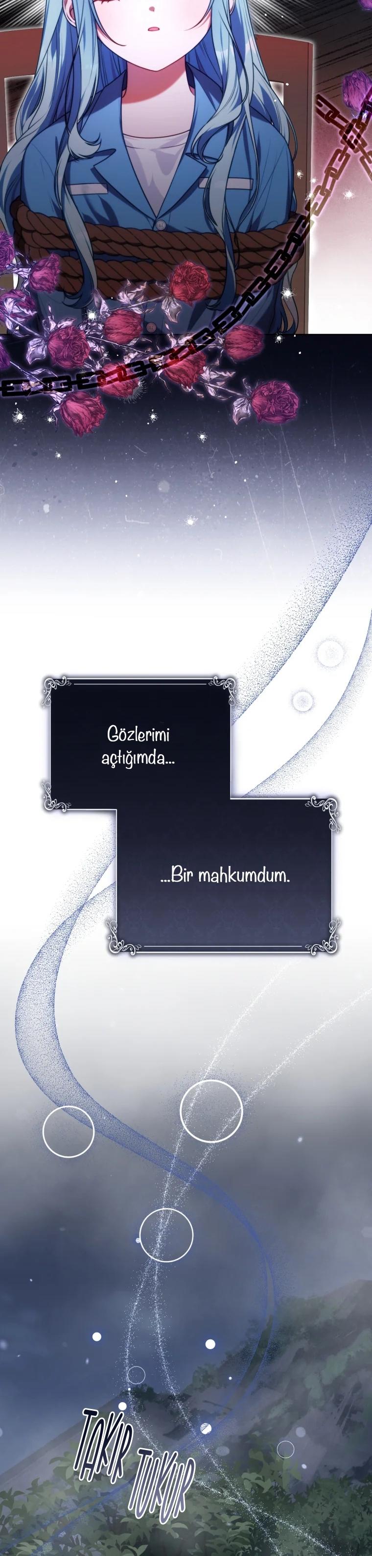 7-cm2xdfr0s0001tt82570od8ls