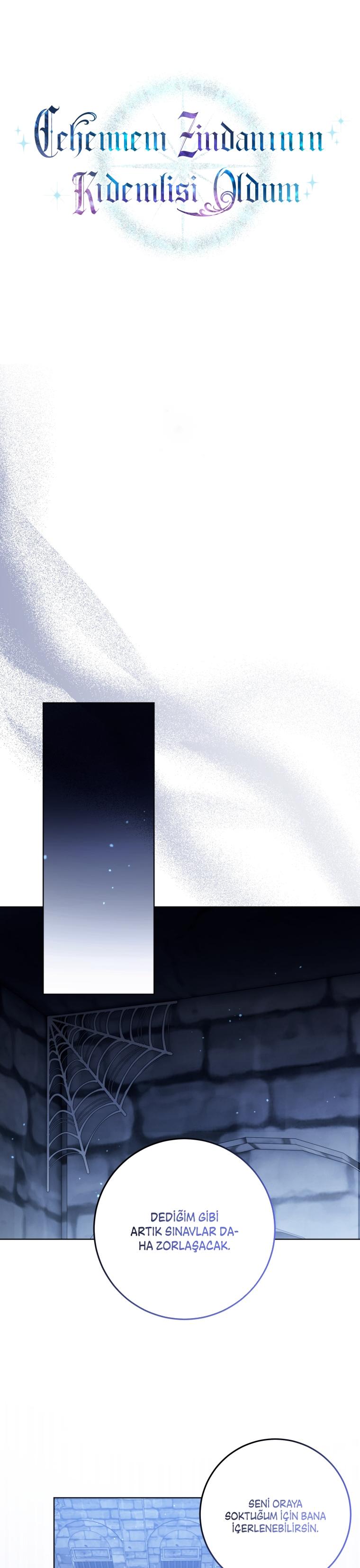 25-cm2xdfr0s0001tt82570od8ls