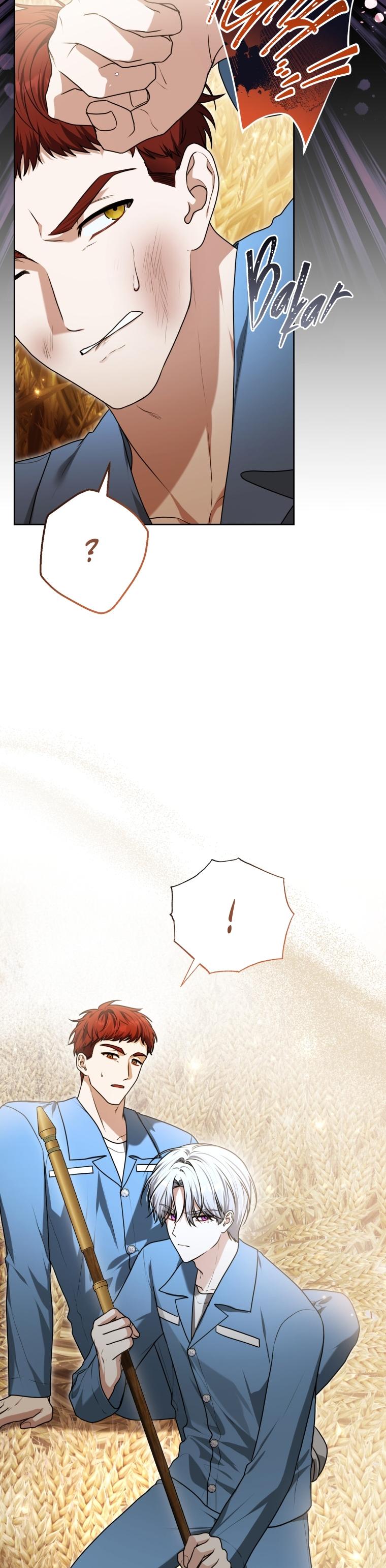 24-cm2xdfr0s0001tt82570od8ls