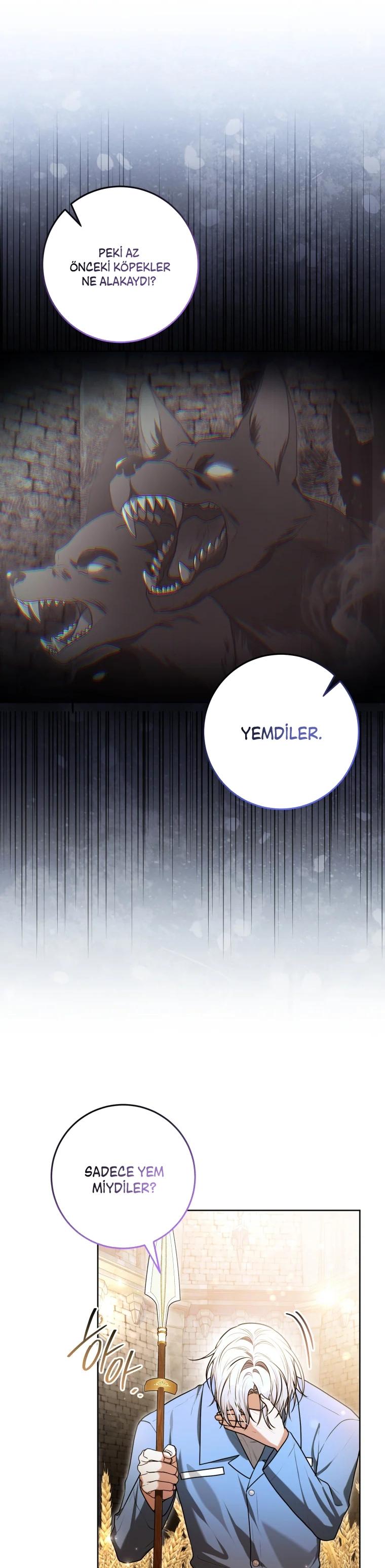 5-cm2xdfr0s0001tt82570od8ls