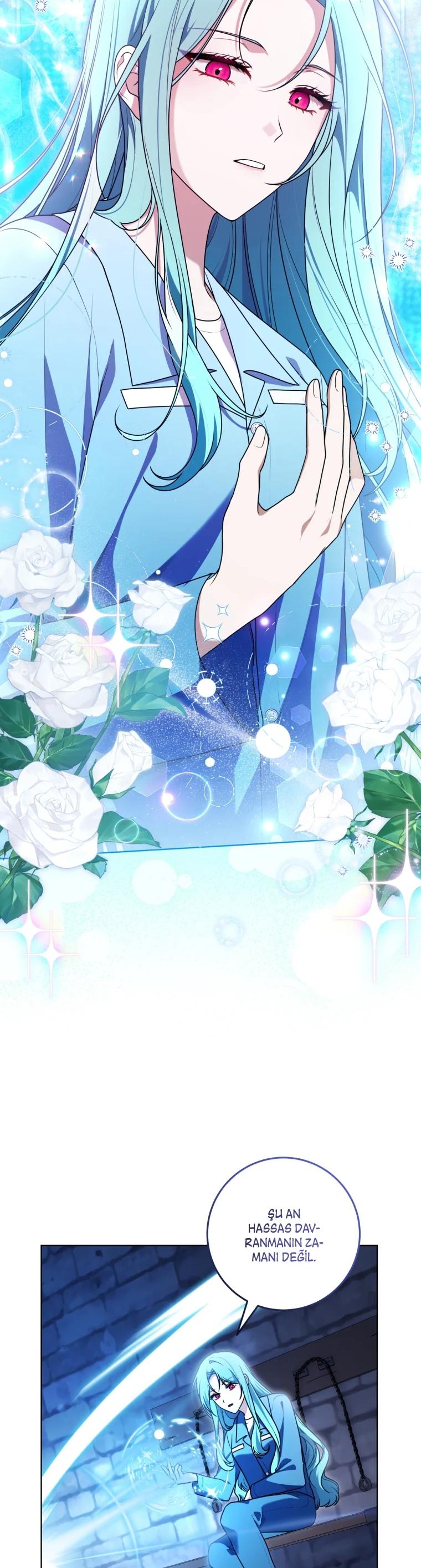 30-cm2xdfr0s0001tt82570od8ls