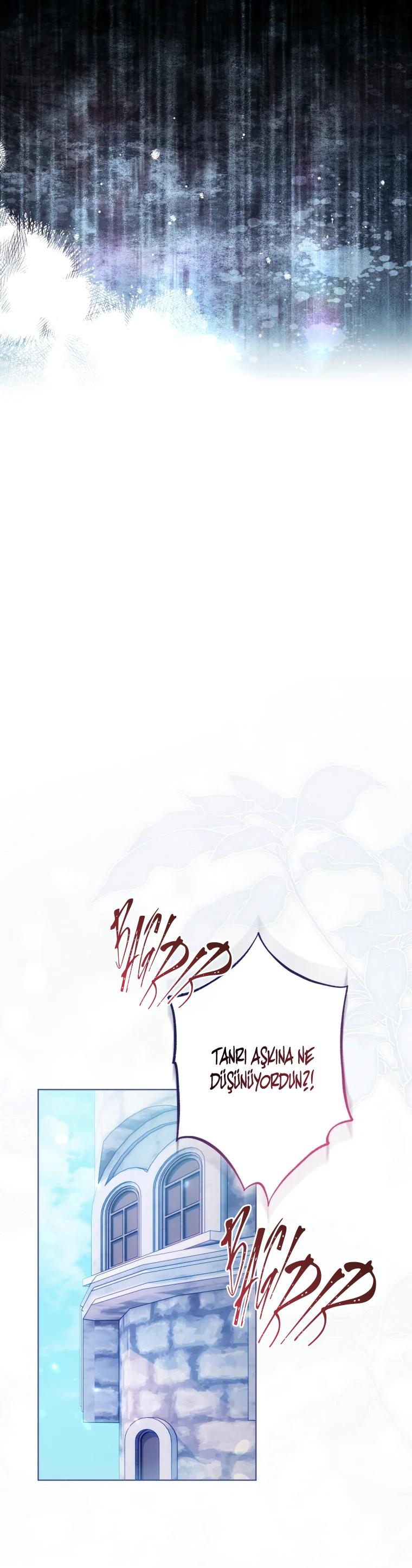 21-cm2xdfr0s0001tt82570od8ls